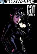 DC Showcase: Catwoman Poster 5