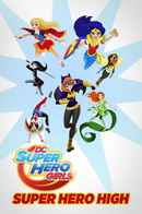 DC Super Hero Girls: Super Hero High Poster 4