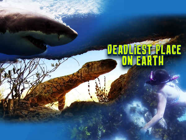 Deadliest Place On Earth Poster 2