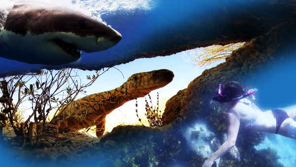 Deadliest Place On Earth Poster 1