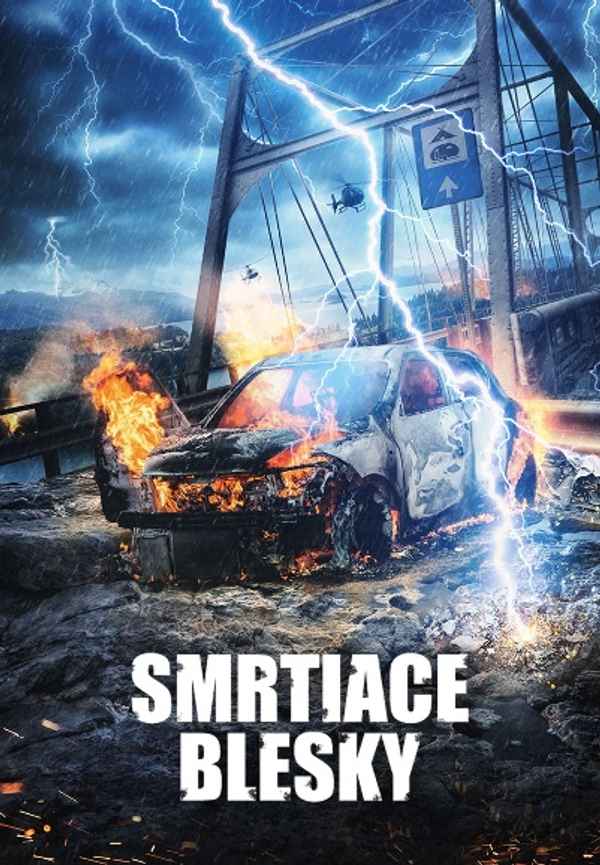 Deadly Voltage Poster 5