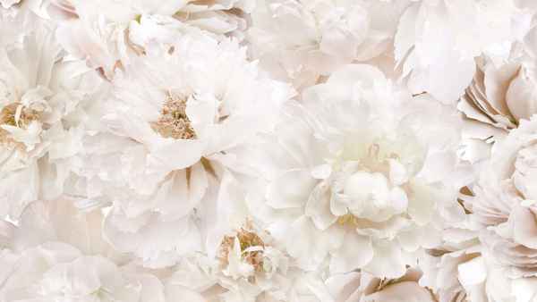 Deadly Vows Poster 1