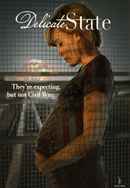 Delicate State Poster 3