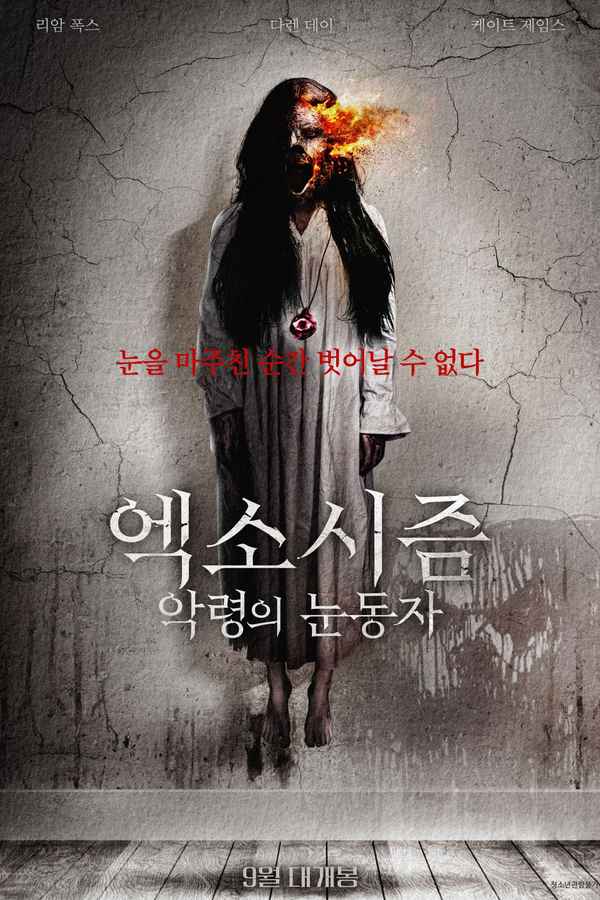 Demon Eye Poster 6