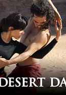 Desert Dancer Poster 2