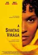 Desert Flower Poster 5