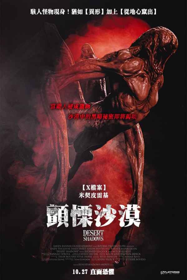 Desert Shadows Poster 6