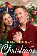 Destined at Christmas Poster 4