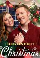 Destined at Christmas Poster 6
