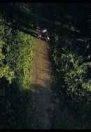 Detective Inspector Poster 4