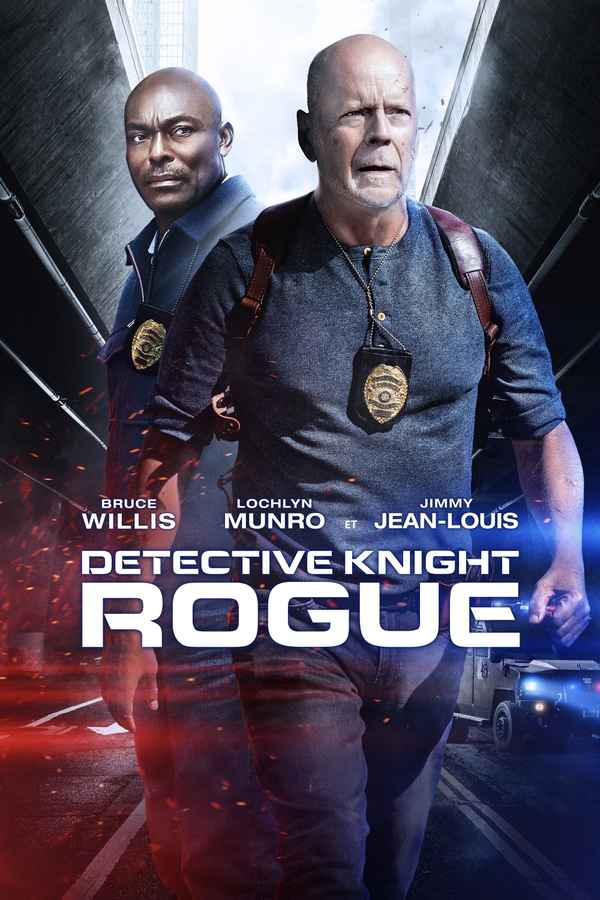 Detective Knight: Rogue Poster 7