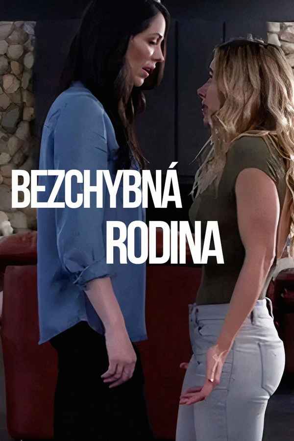 Devious Nanny Poster 6