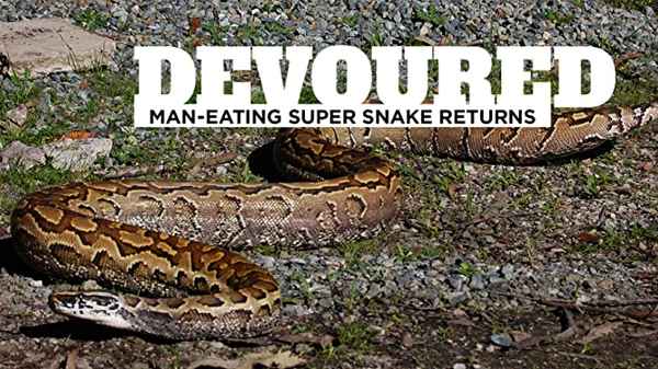 Devoured: Man-Eating Super Snake Returns Poster 3