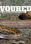 Devoured: Man-Eating Super Snake Returns Poster 4