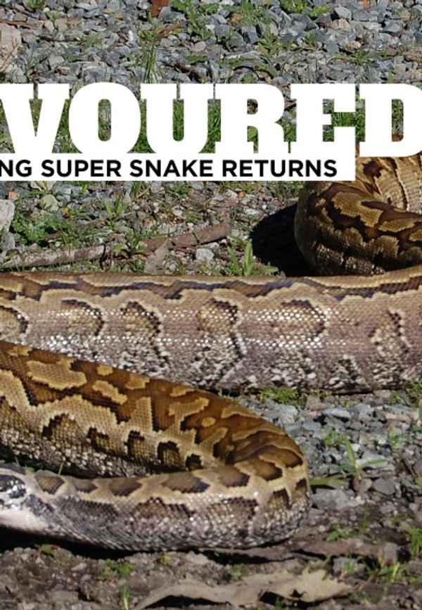 Devoured: Man-Eating Super Snake Returns Poster 4