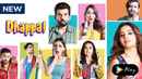 Dhappa Poster 5