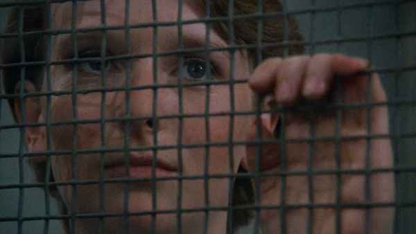 Diary for My Loves Poster 5