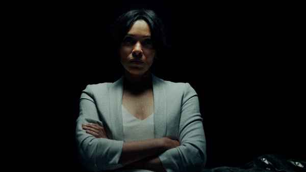 Diary of a Spy Poster 6