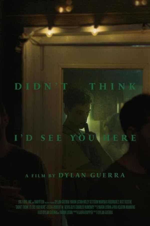 Didn't Think I'd See You Here Poster 7