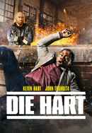 Die Hart Poster 5