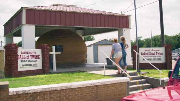 Different Flowers Poster 2