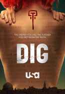 Dig Poster 7