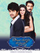 Dikkulu Chudaku Ramayya Poster 2