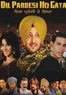 Dil Pardesi Ho Gaya Poster 6