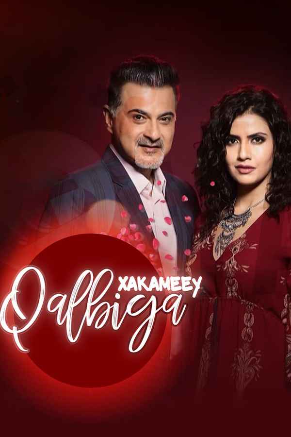 Dil Sambhal Jaa Zara Poster 3