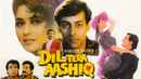 Dil Tera Aashiq Poster 5