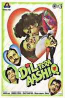 Dil Tera Aashiq Poster 3