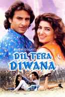 Dil Tera Diwana Poster 5
