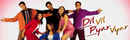 Dil Vil Pyar Vyar Poster 5