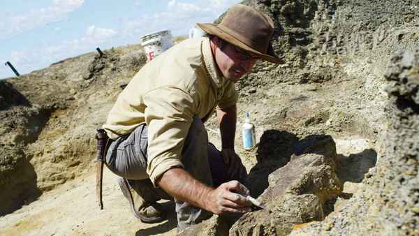 Dinosaurs: The Final Day with David Attenborough Poster 1