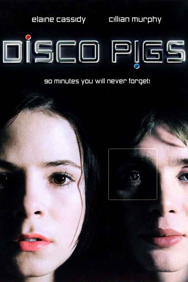 Disco Pigs Poster 4