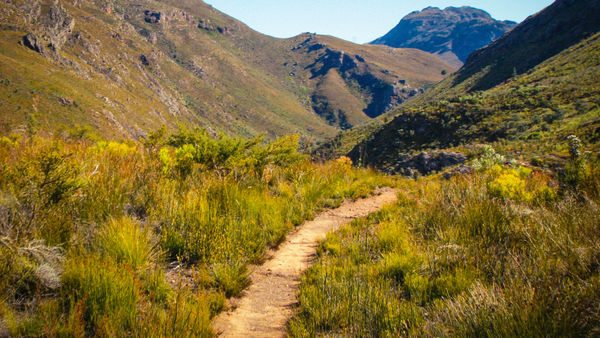 discovery+ Immersions: Mountain Trails Poster 1