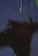 Ditch jumping re-enactment Poster 2