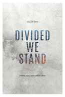 Divided We Stand Poster 2
