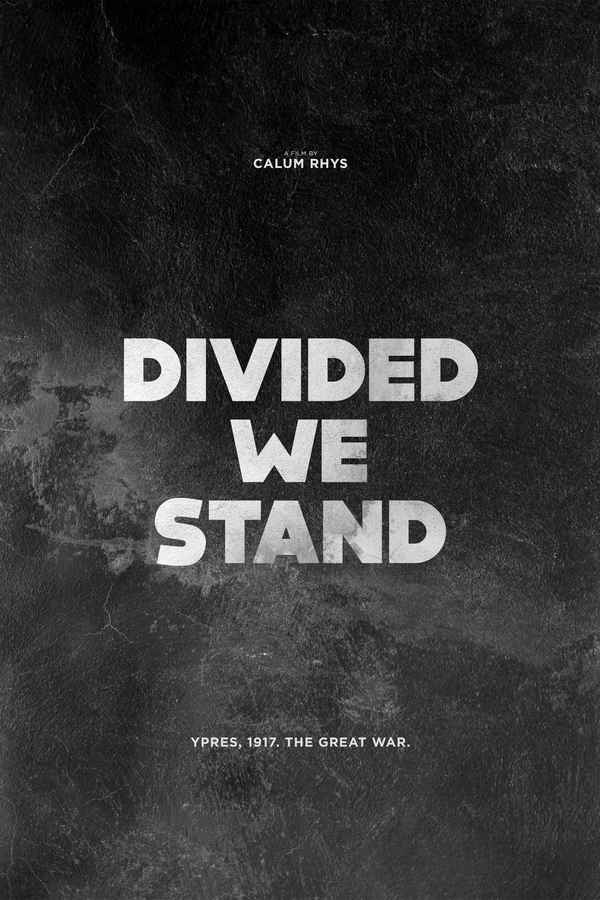 Divided We Stand Poster 3