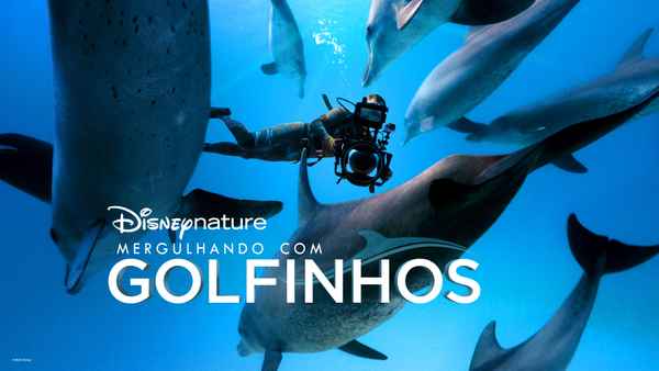 Diving with Dolphins Poster 1