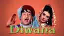 Diwana Poster 1