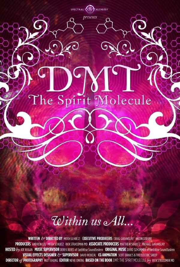 DMT: The Spirit Molecule Poster 1