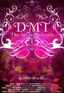 DMT: The Spirit Molecule Poster 3