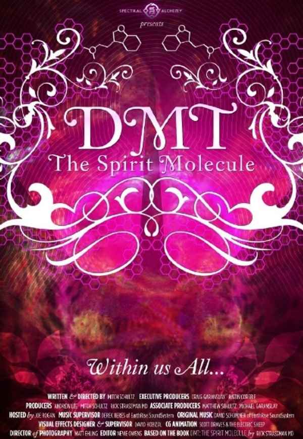 DMT: The Spirit Molecule Poster 3