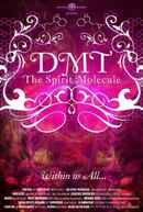 DMT: The Spirit Molecule Poster 2