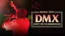 DMX: Don't Try to Understand Poster 1