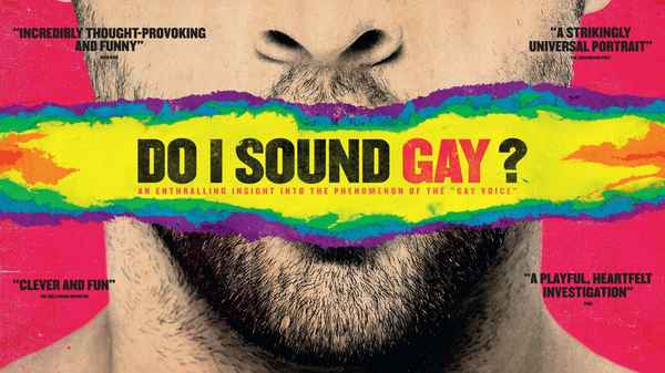 Do I Sound Gay? Poster 2