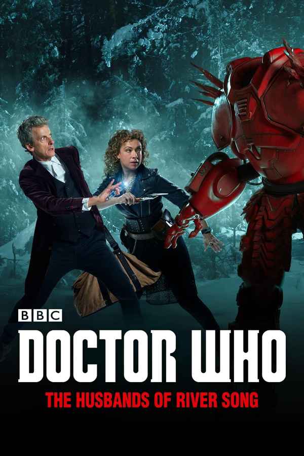 Doctor Who: The Husbands of River Song Poster 4