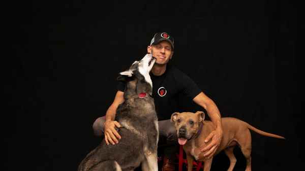 Dog Impossible Poster 6