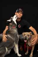 Dog Impossible Poster 7